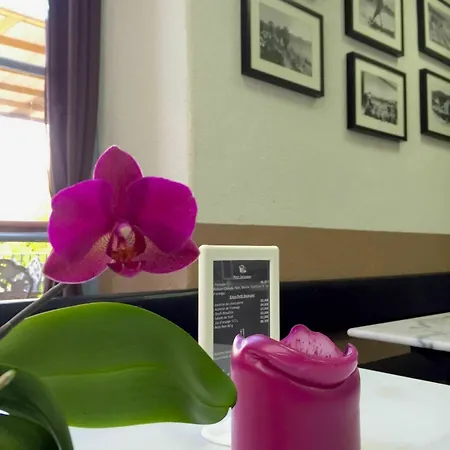 Le Du Pietri Guest house Olivese